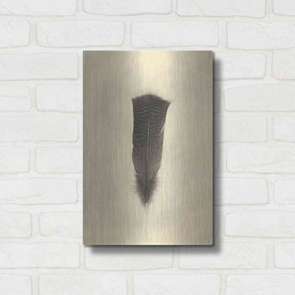 Luxe Metal Art 'Feather III Vintage' by Debra Van Swearingen, Metal Wall Art,12x16