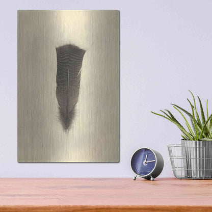 Luxe Metal Art 'Feather III Vintage' by Debra Van Swearingen, Metal Wall Art,12x16