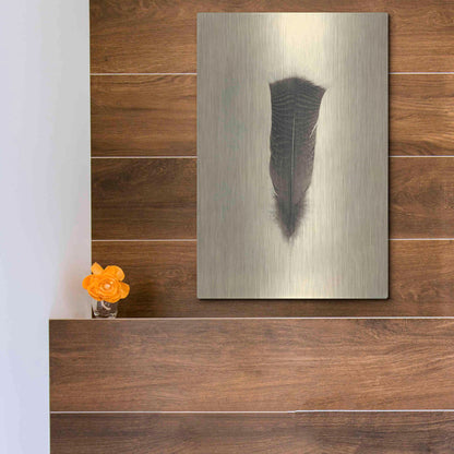 Luxe Metal Art 'Feather III Vintage' by Debra Van Swearingen, Metal Wall Art,12x16