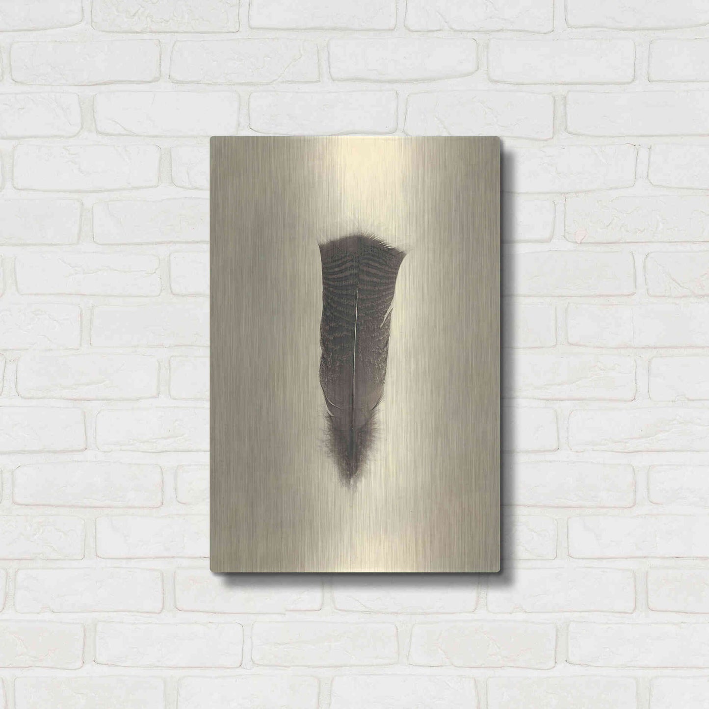 Luxe Metal Art 'Feather III Vintage' by Debra Van Swearingen, Metal Wall Art,16x24