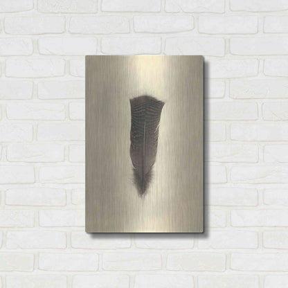 Luxe Metal Art 'Feather III Vintage' by Debra Van Swearingen, Metal Wall Art,16x24