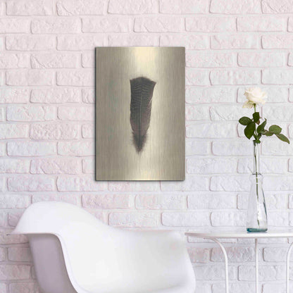 Luxe Metal Art 'Feather III Vintage' by Debra Van Swearingen, Metal Wall Art,16x24