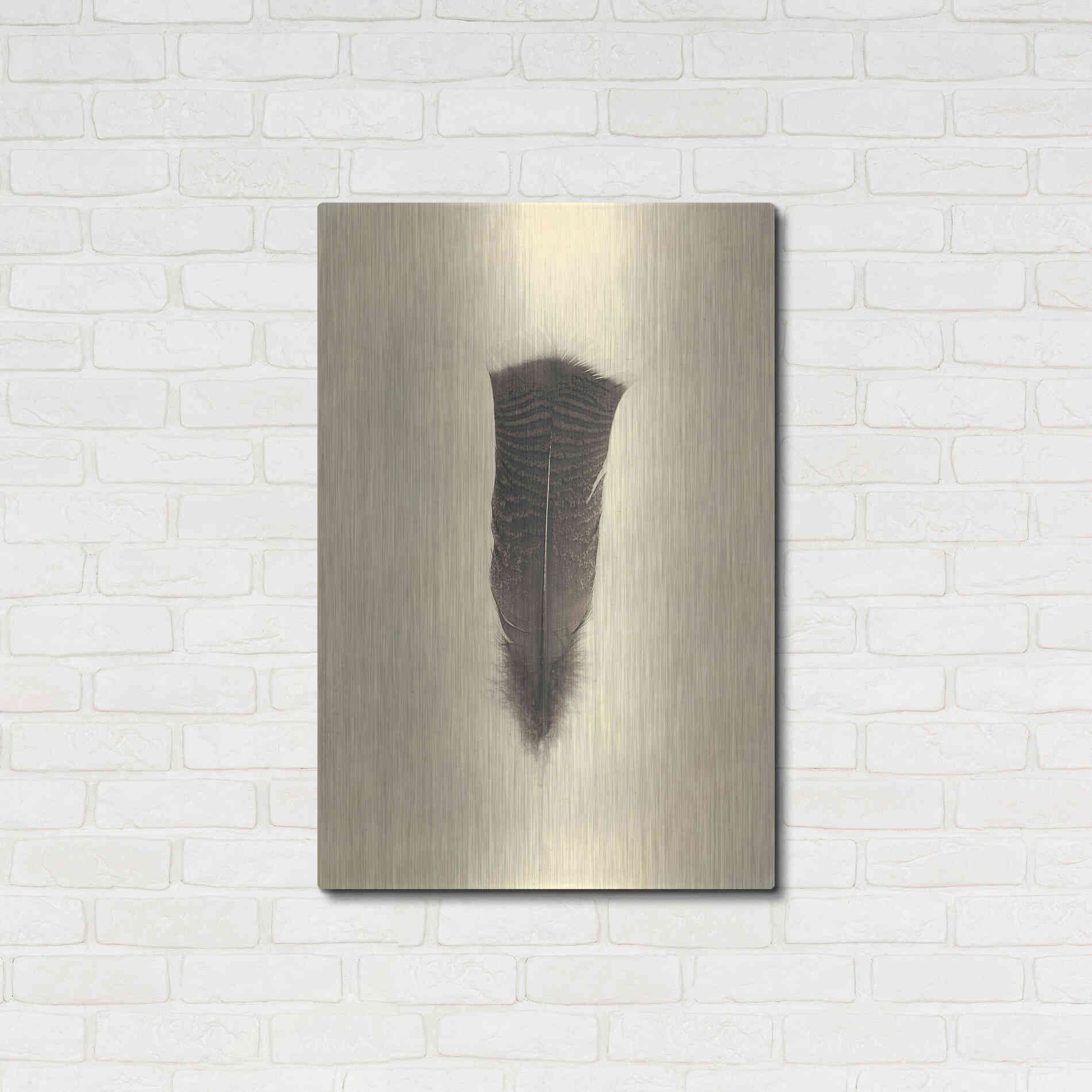Luxe Metal Art 'Feather III Vintage' by Debra Van Swearingen, Metal Wall Art,24x36