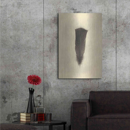 Luxe Metal Art 'Feather III Vintage' by Debra Van Swearingen, Metal Wall Art,24x36