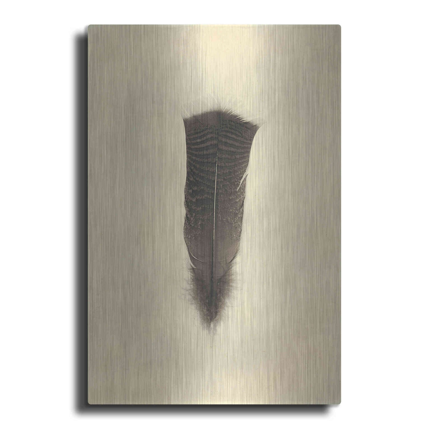 Luxe Metal Art 'Feather III Vintage' by Debra Van Swearingen, Metal Wall Art