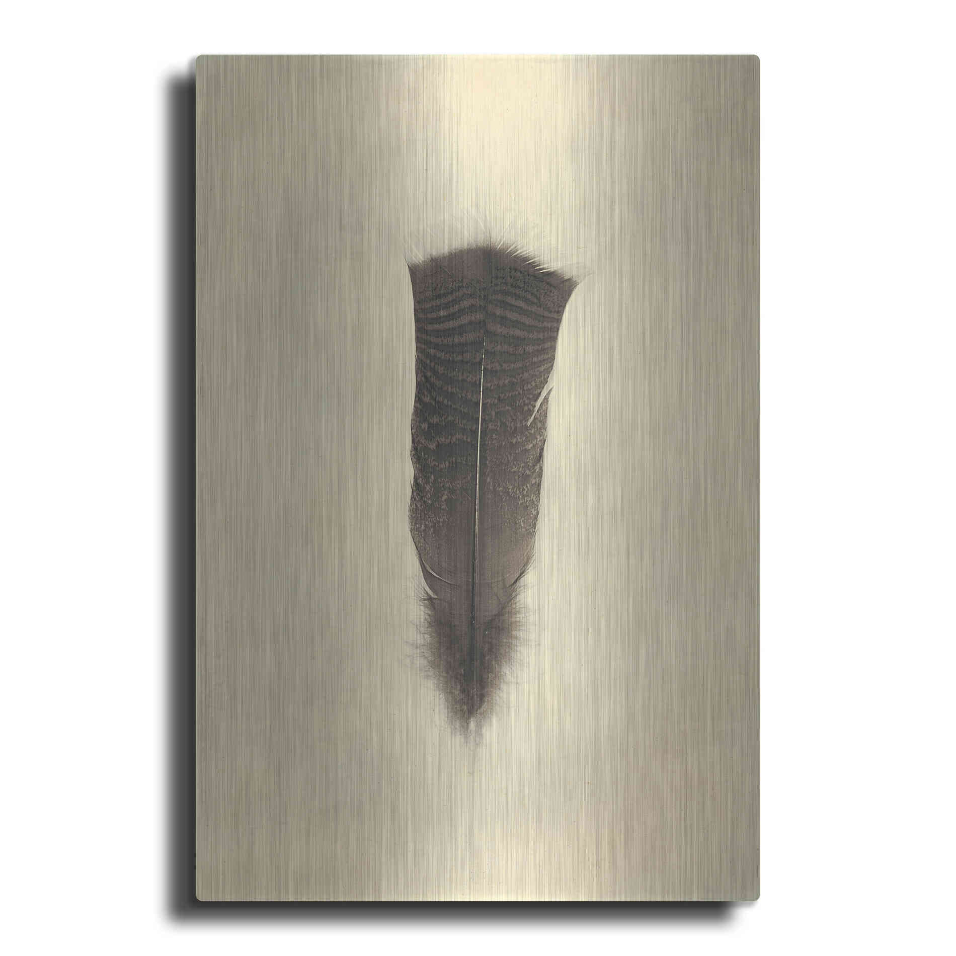 Luxe Metal Art 'Feather III Vintage' by Debra Van Swearingen, Metal Wall Art