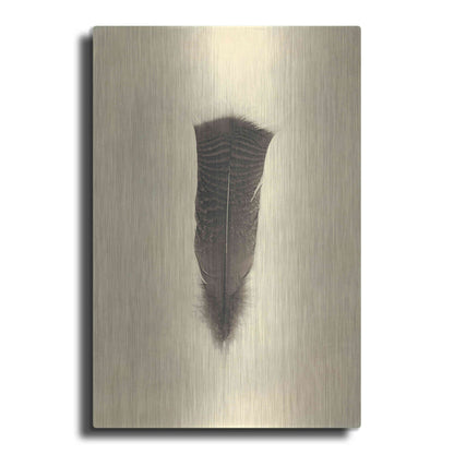 Luxe Metal Art 'Feather III Vintage' by Debra Van Swearingen, Metal Wall Art