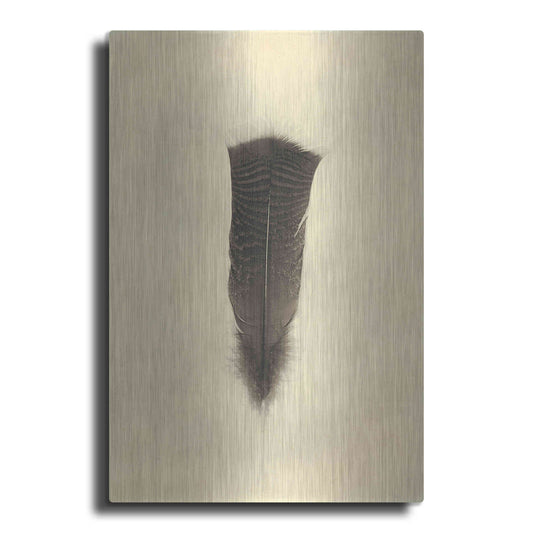 Luxe Metal Art 'Feather III Vintage' by Debra Van Swearingen, Metal Wall Art