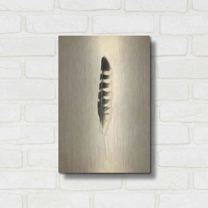 Luxe Metal Art 'Feather IV Vintage' by Debra Van Swearingen, Metal Wall Art,12x16