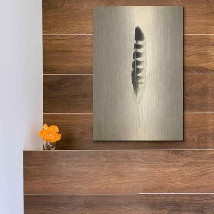 Luxe Metal Art 'Feather IV Vintage' by Debra Van Swearingen, Metal Wall Art,12x16