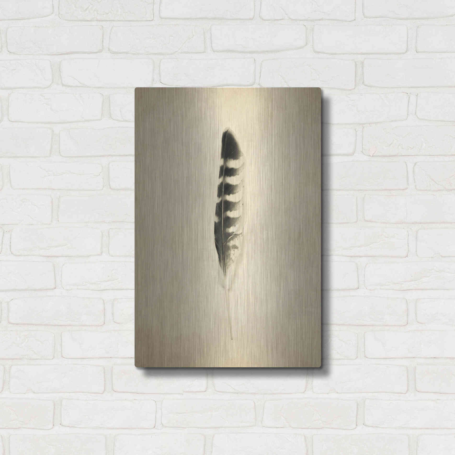 Luxe Metal Art 'Feather IV Vintage' by Debra Van Swearingen, Metal Wall Art,16x24