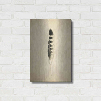 Luxe Metal Art 'Feather IV Vintage' by Debra Van Swearingen, Metal Wall Art,16x24