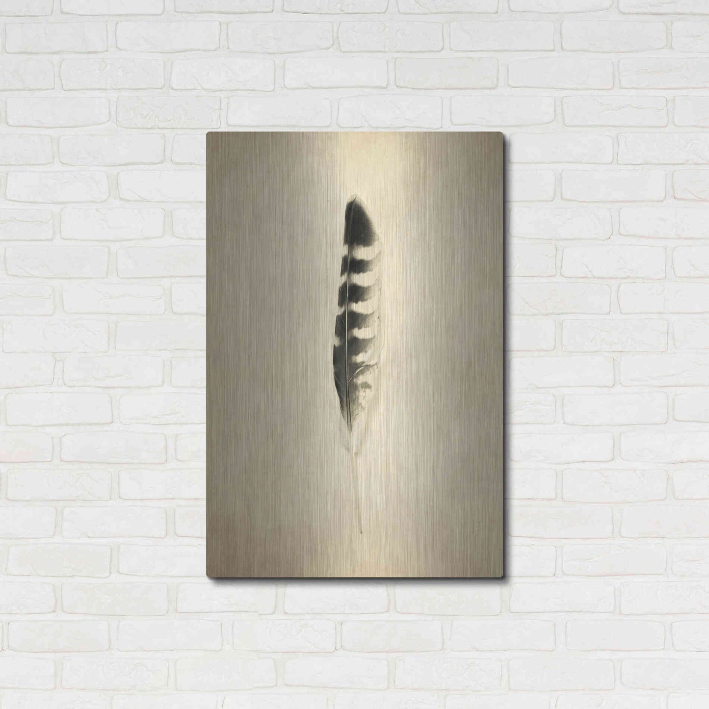 Luxe Metal Art 'Feather IV Vintage' by Debra Van Swearingen, Metal Wall Art,24x36
