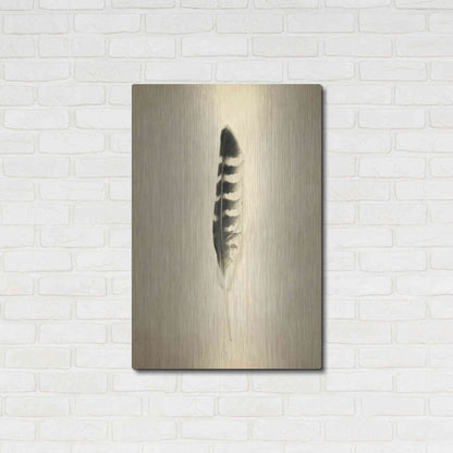 Luxe Metal Art 'Feather IV Vintage' by Debra Van Swearingen, Metal Wall Art,24x36