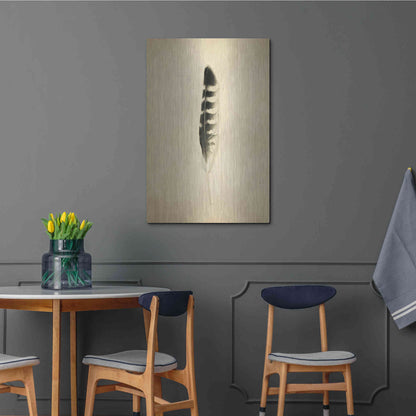 Luxe Metal Art 'Feather IV Vintage' by Debra Van Swearingen, Metal Wall Art,24x36
