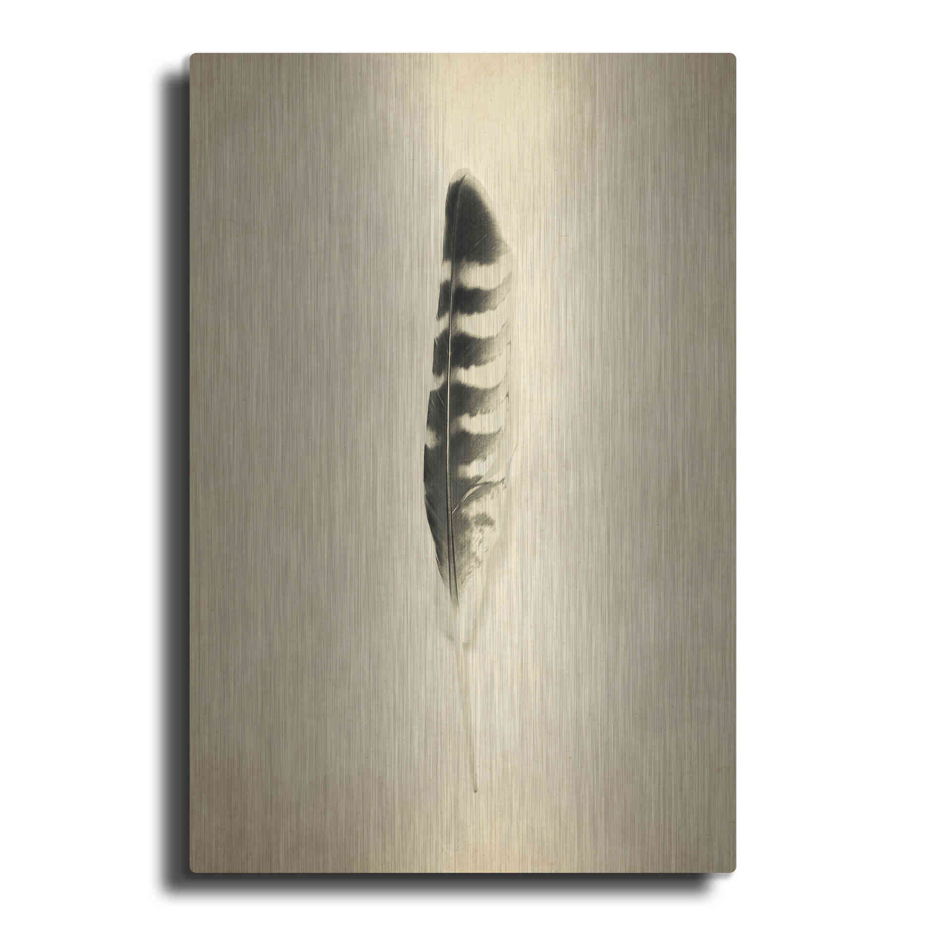 Luxe Metal Art 'Feather IV Vintage' by Debra Van Swearingen, Metal Wall Art