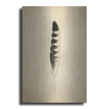 Luxe Metal Art 'Feather IV Vintage' by Debra Van Swearingen, Metal Wall Art
