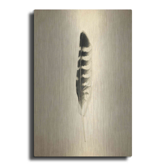 Luxe Metal Art 'Feather IV Vintage' by Debra Van Swearingen, Metal Wall Art