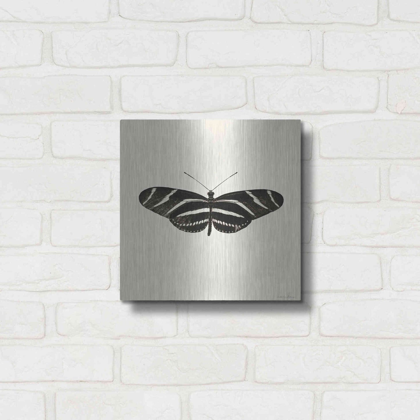 Luxe Metal Art 'Butterfly IX B&W' by Debra Van Swearingen, Metal Wall Art,12x12
