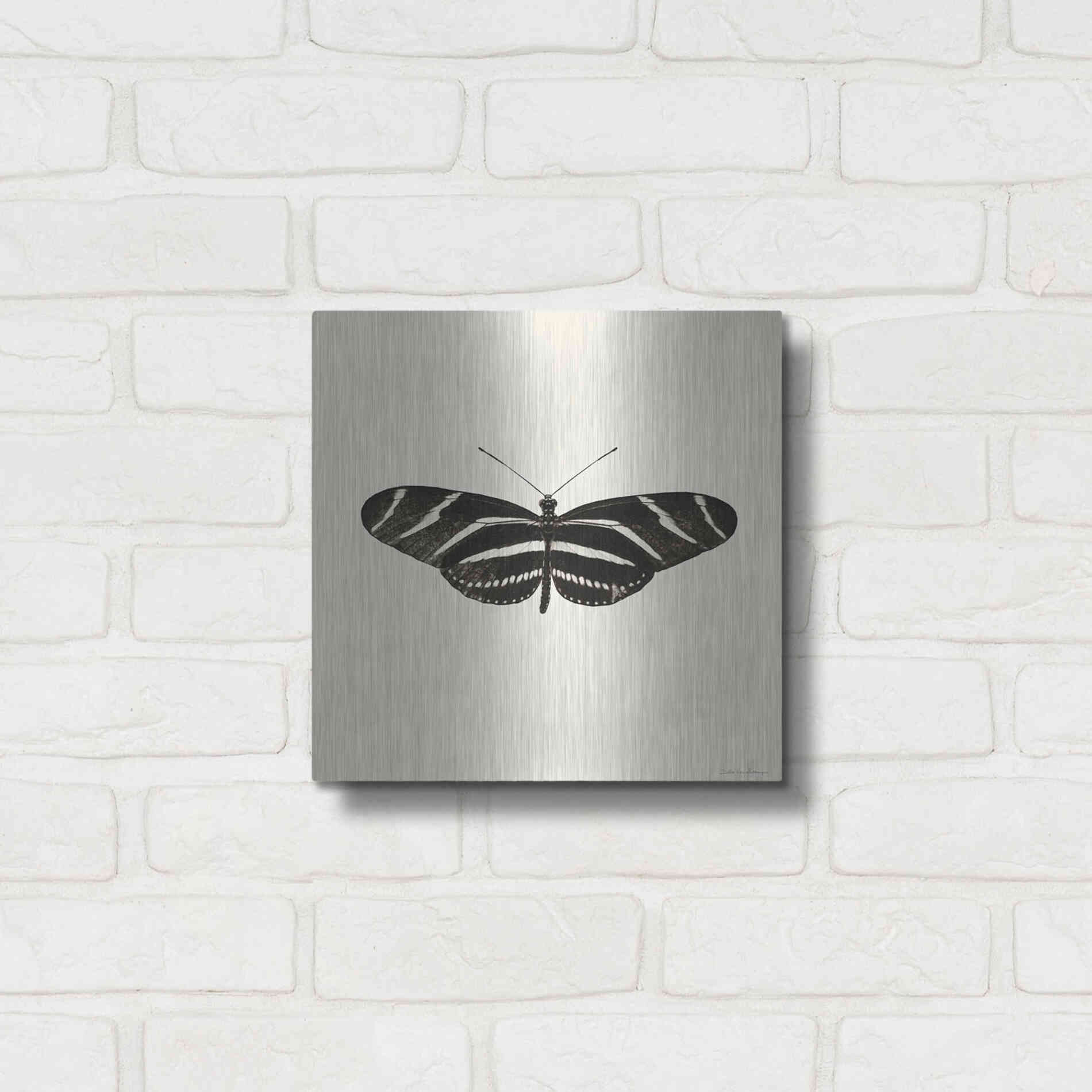 Luxe Metal Art 'Butterfly IX B&W' by Debra Van Swearingen, Metal Wall Art,12x12