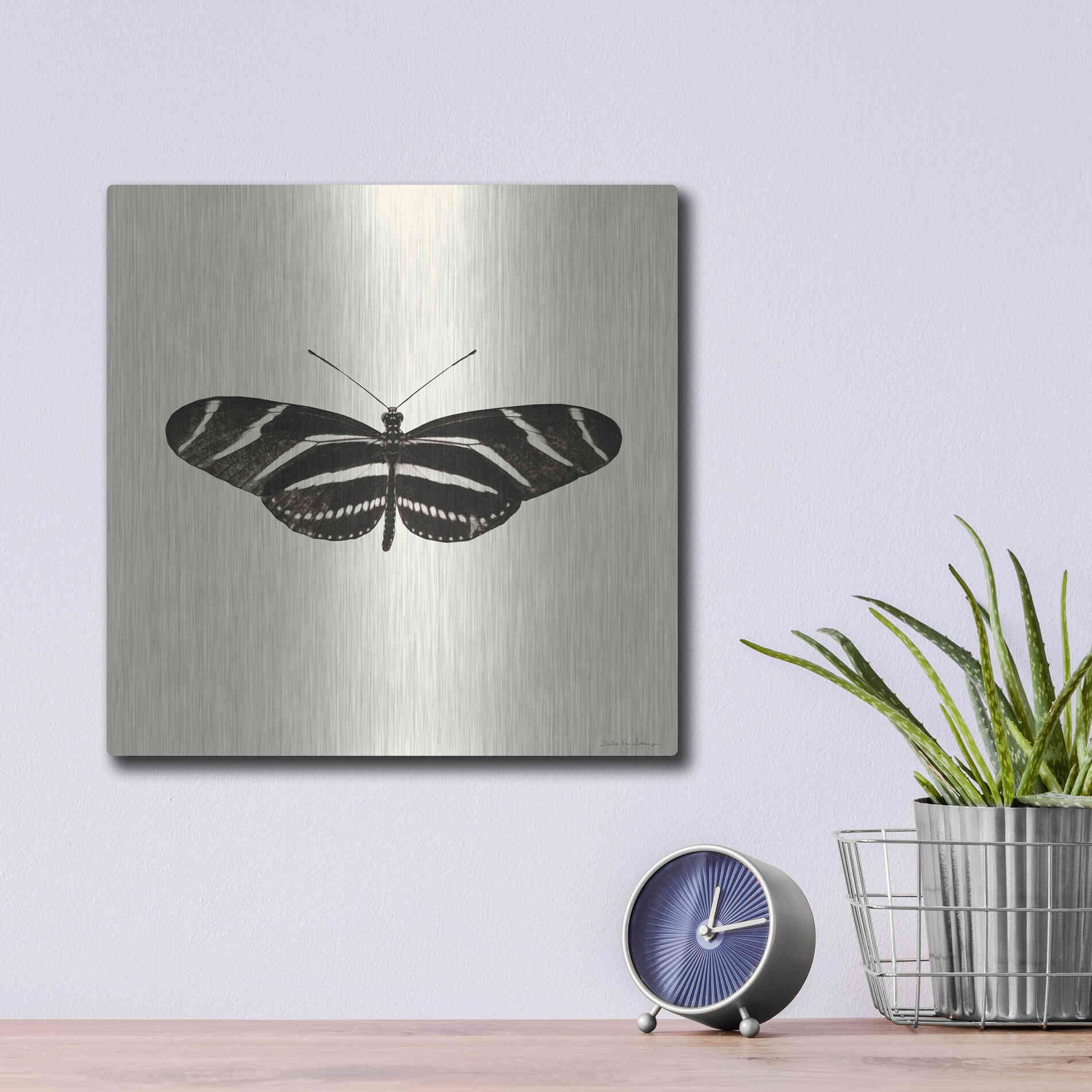 Luxe Metal Art 'Butterfly IX B&W' by Debra Van Swearingen, Metal Wall Art,12x12