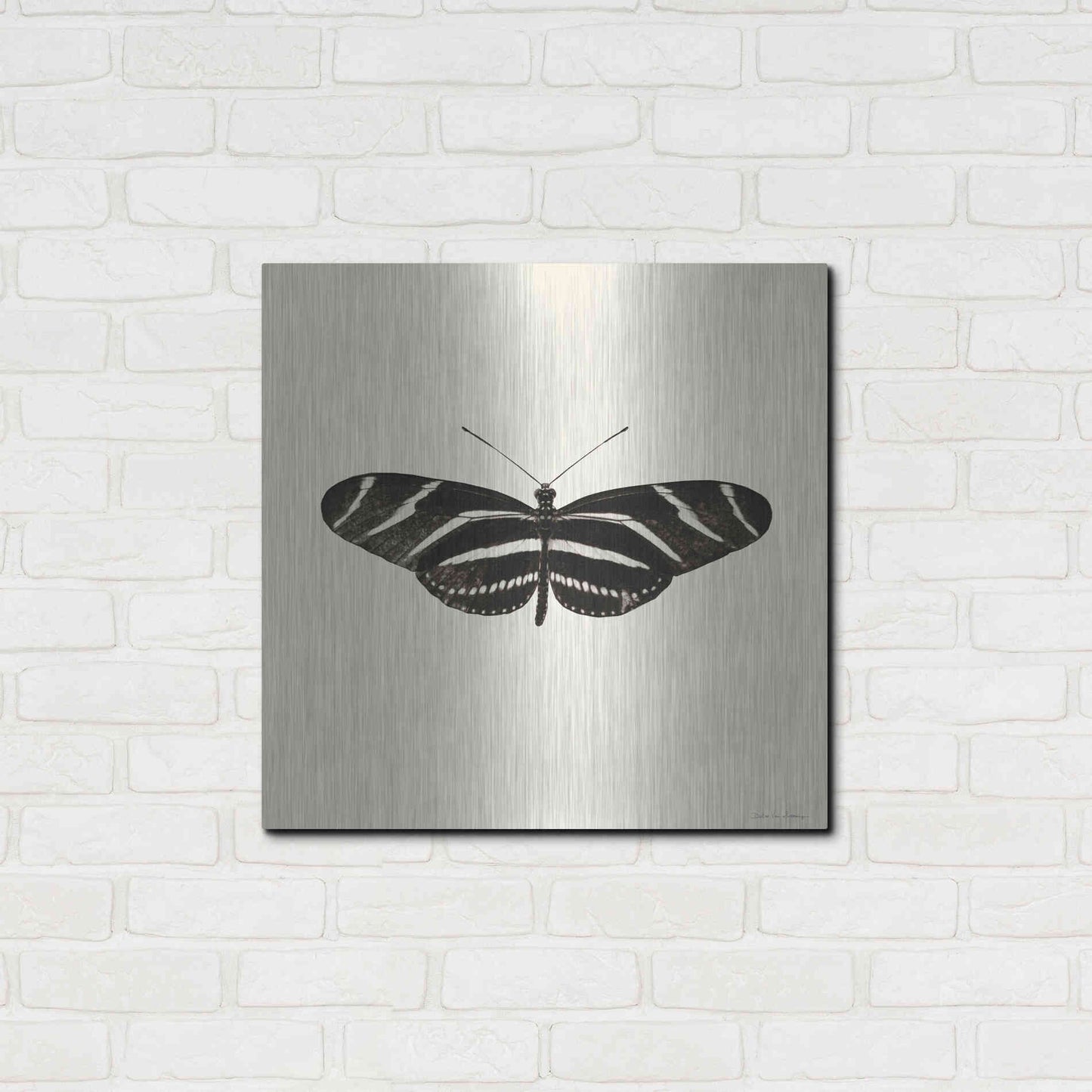 Luxe Metal Art 'Butterfly IX B&W' by Debra Van Swearingen, Metal Wall Art,24x24