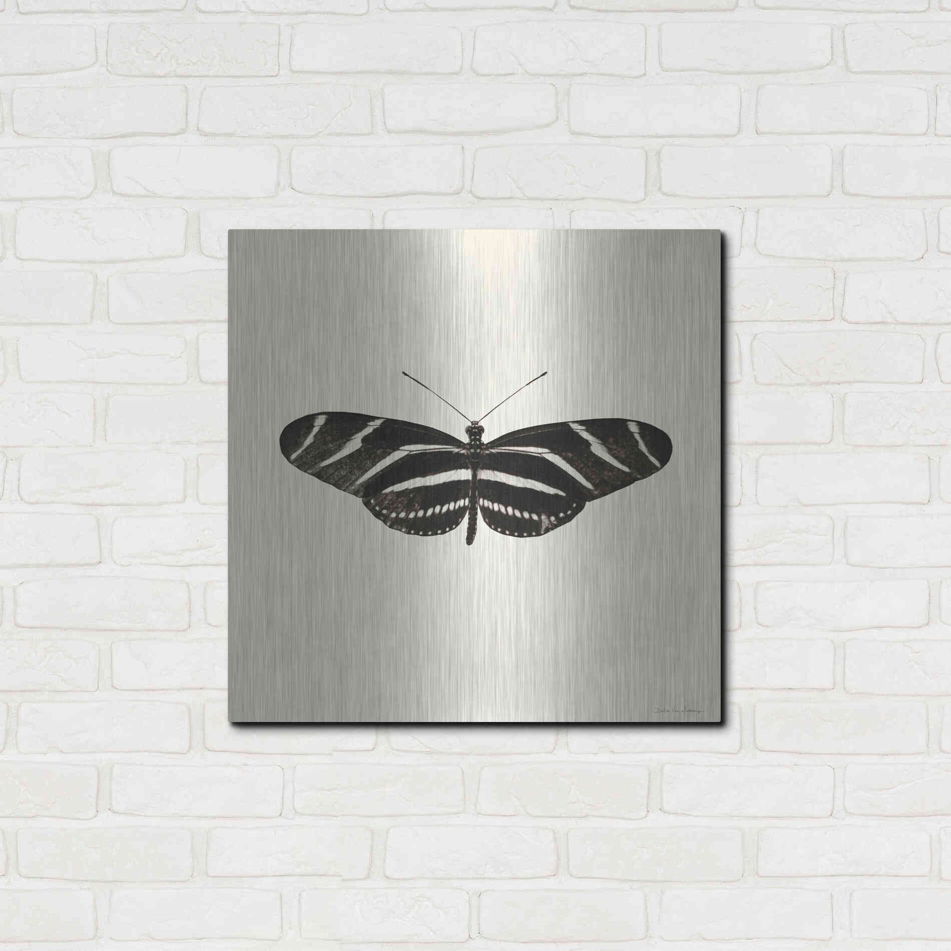 Luxe Metal Art 'Butterfly IX B&W' by Debra Van Swearingen, Metal Wall Art,24x24
