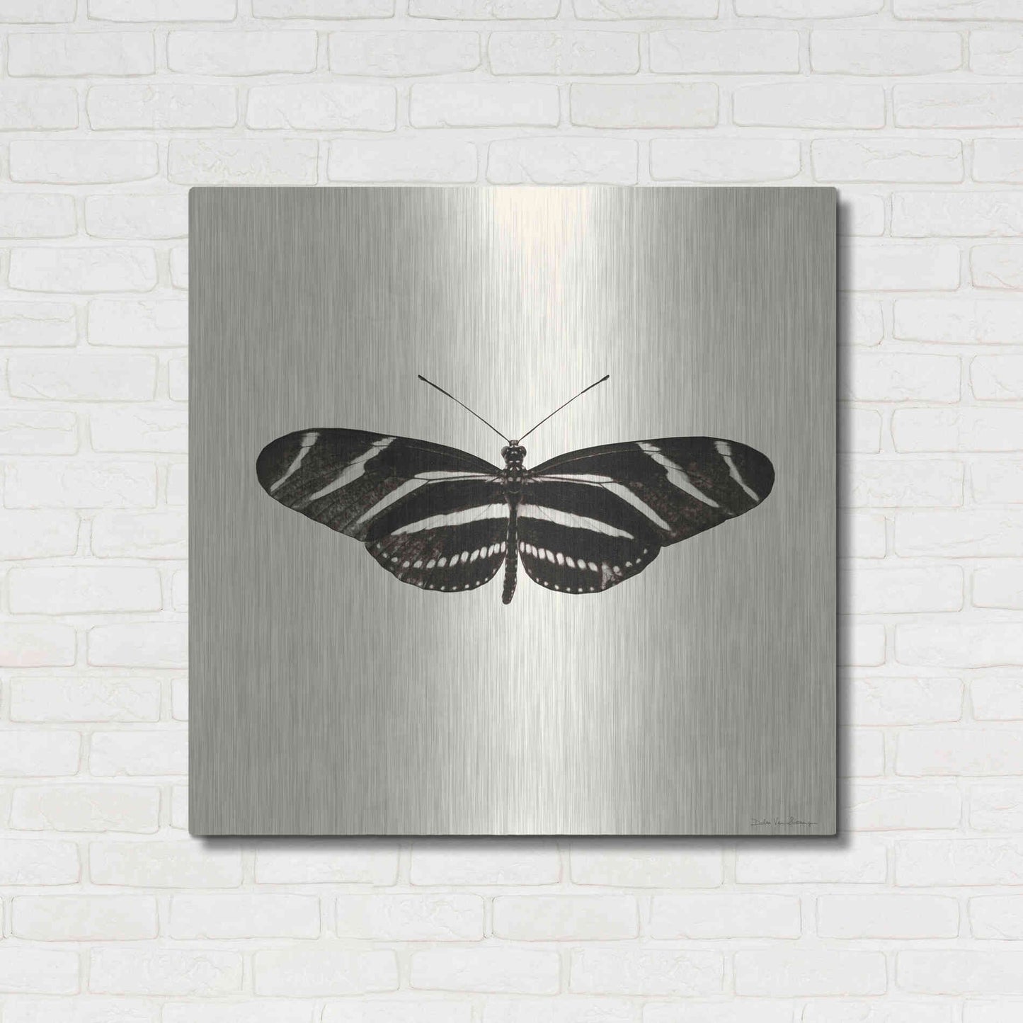 Luxe Metal Art 'Butterfly IX B&W' by Debra Van Swearingen, Metal Wall Art,36x36