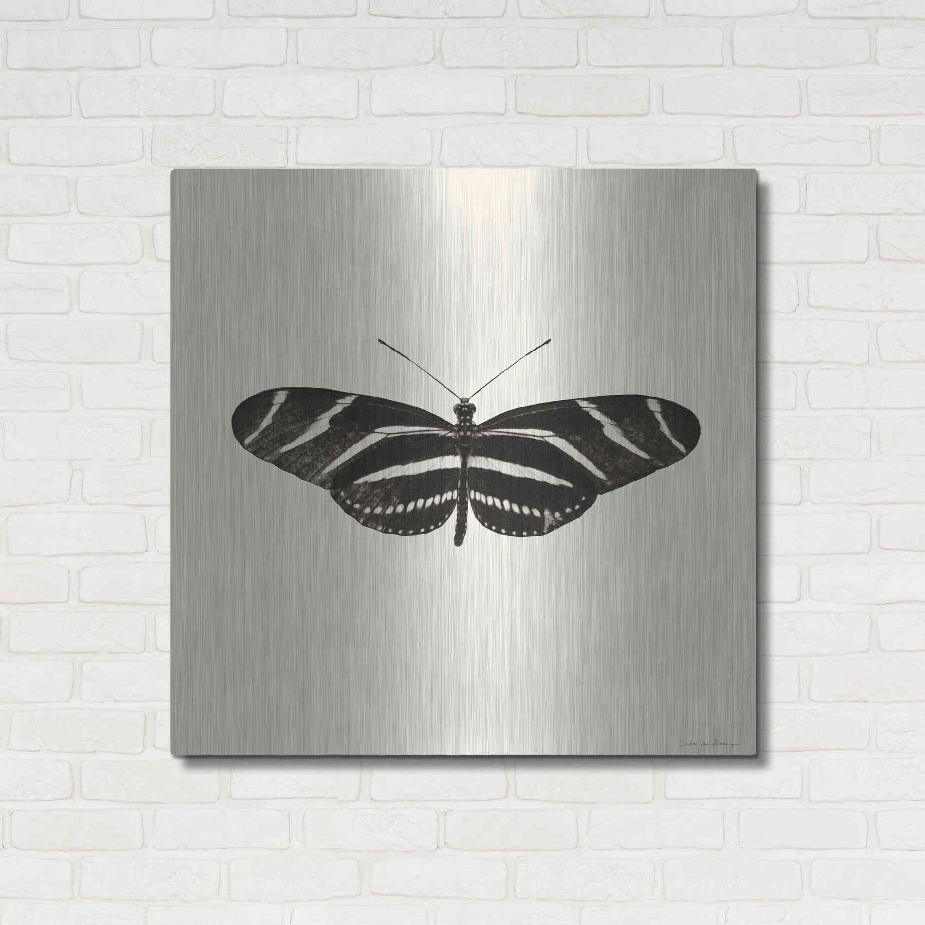 Luxe Metal Art 'Butterfly IX B&W' by Debra Van Swearingen, Metal Wall Art,36x36