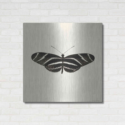 Luxe Metal Art 'Butterfly IX B&W' by Debra Van Swearingen, Metal Wall Art,36x36