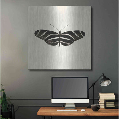 Luxe Metal Art 'Butterfly IX B&W' by Debra Van Swearingen, Metal Wall Art,36x36