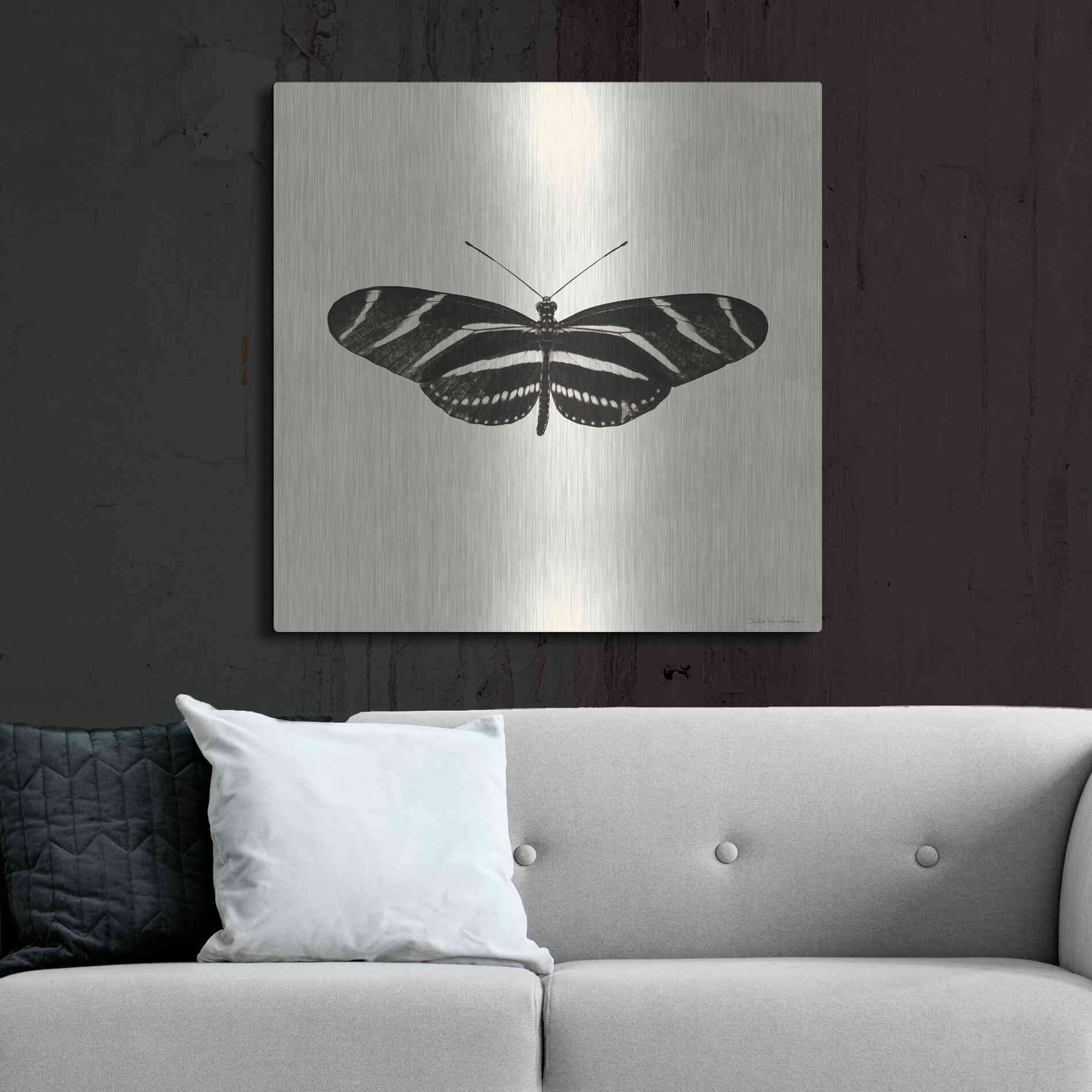 Luxe Metal Art 'Butterfly IX B&W' by Debra Van Swearingen, Metal Wall Art,36x36