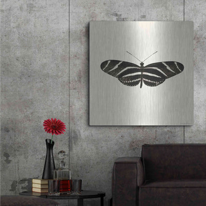 Luxe Metal Art 'Butterfly IX B&W' by Debra Van Swearingen, Metal Wall Art,36x36