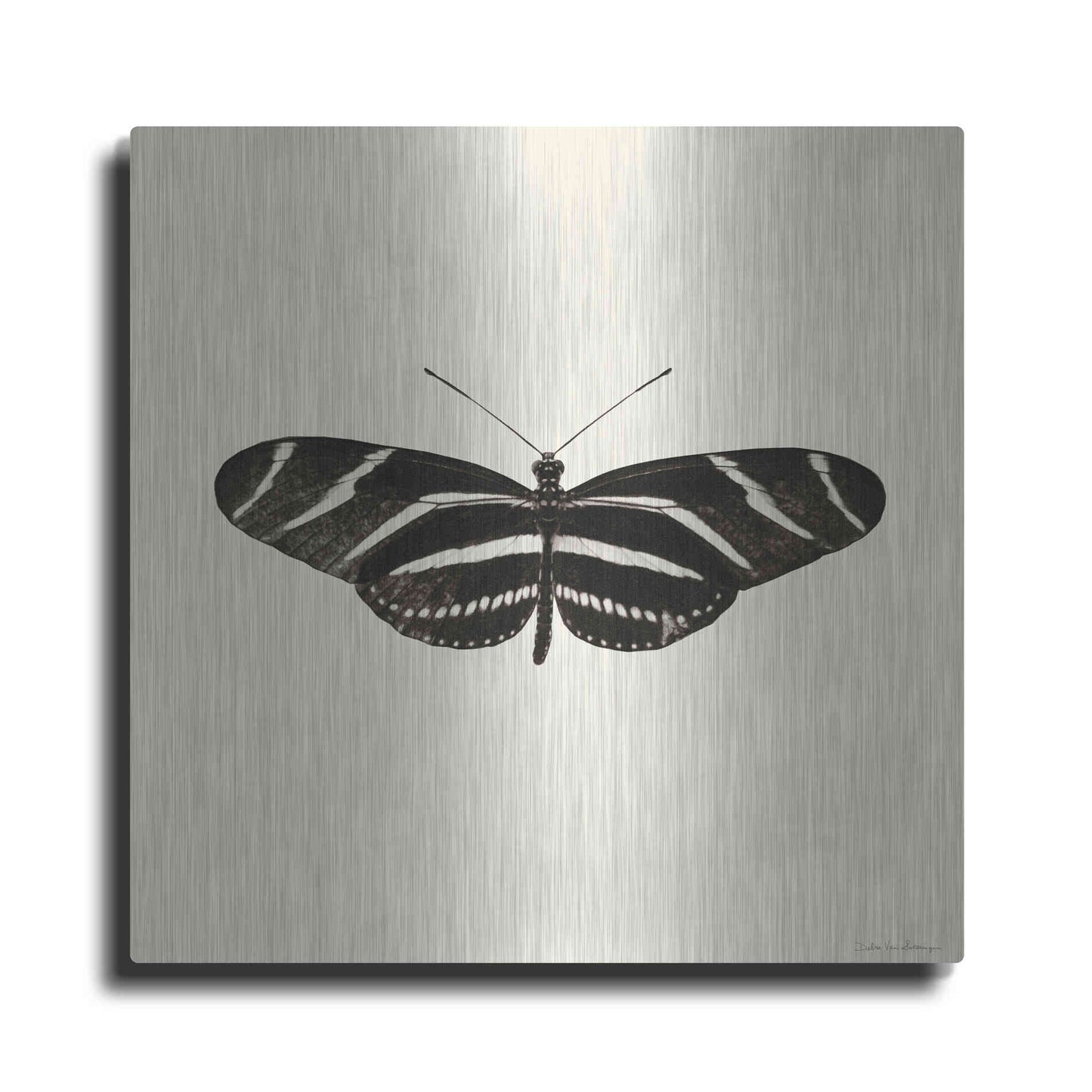 Luxe Metal Art 'Butterfly IX B&W' by Debra Van Swearingen, Metal Wall Art