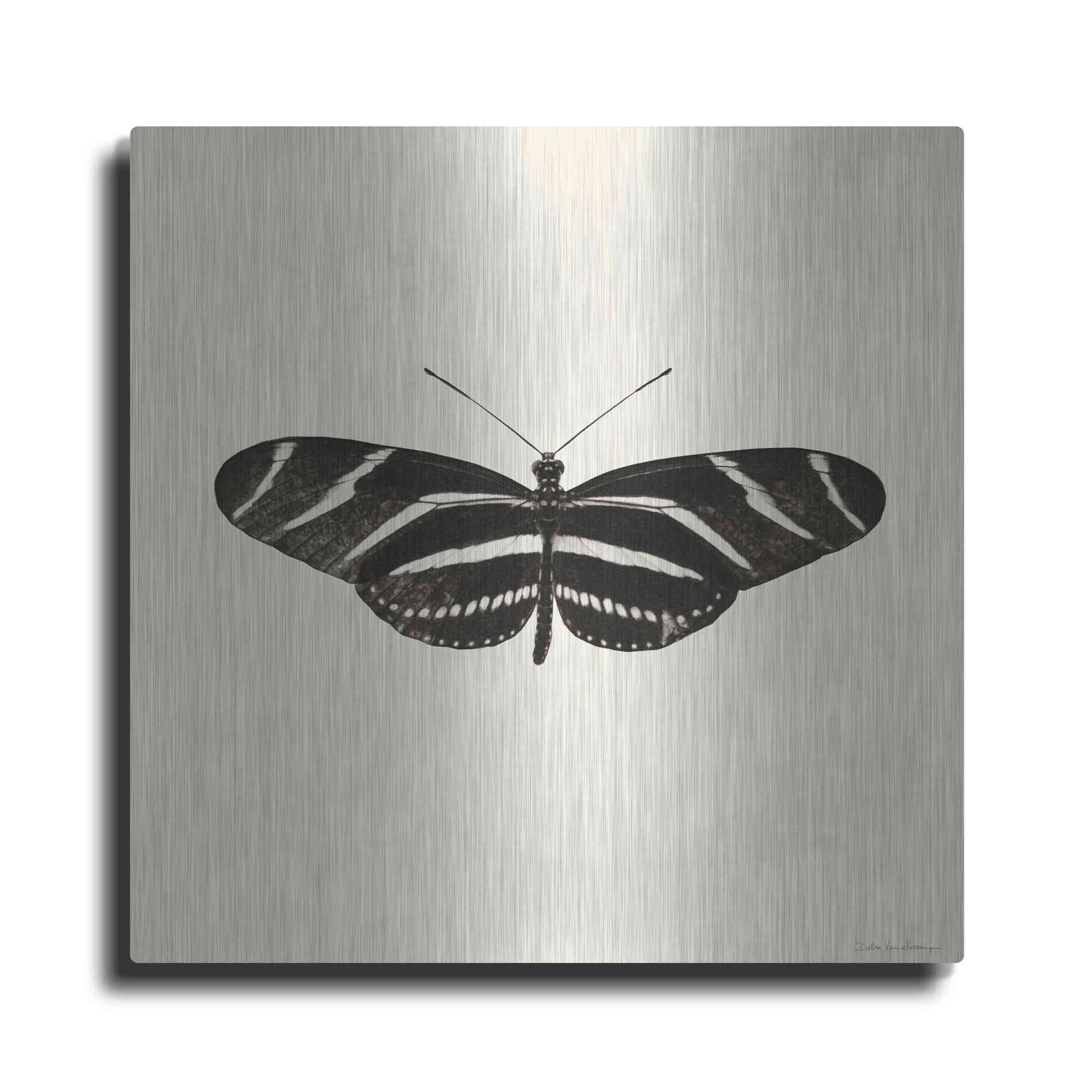 Luxe Metal Art 'Butterfly IX B&W' by Debra Van Swearingen, Metal Wall Art