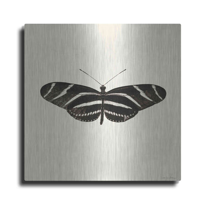 Luxe Metal Art 'Butterfly IX B&W' by Debra Van Swearingen, Metal Wall Art