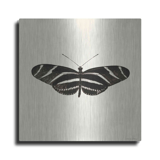 Luxe Metal Art 'Butterfly IX B&W' by Debra Van Swearingen, Metal Wall Art