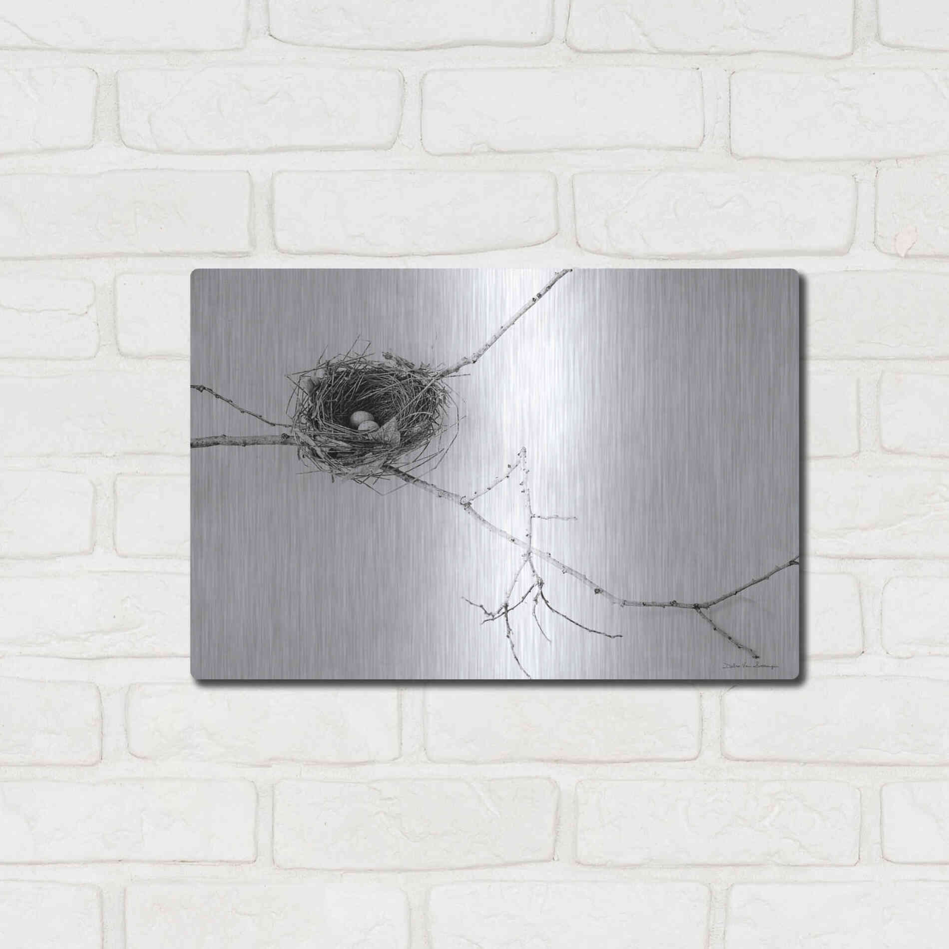 Luxe Metal Art 'Nest and Branch I' by Debra Van Swearingen, Metal Wall Art,16x12