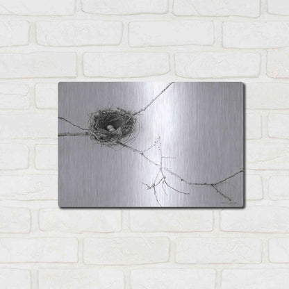 Luxe Metal Art 'Nest and Branch I' by Debra Van Swearingen, Metal Wall Art,16x12