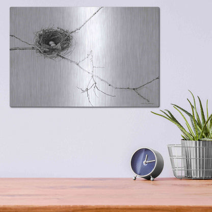 Luxe Metal Art 'Nest and Branch I' by Debra Van Swearingen, Metal Wall Art,16x12