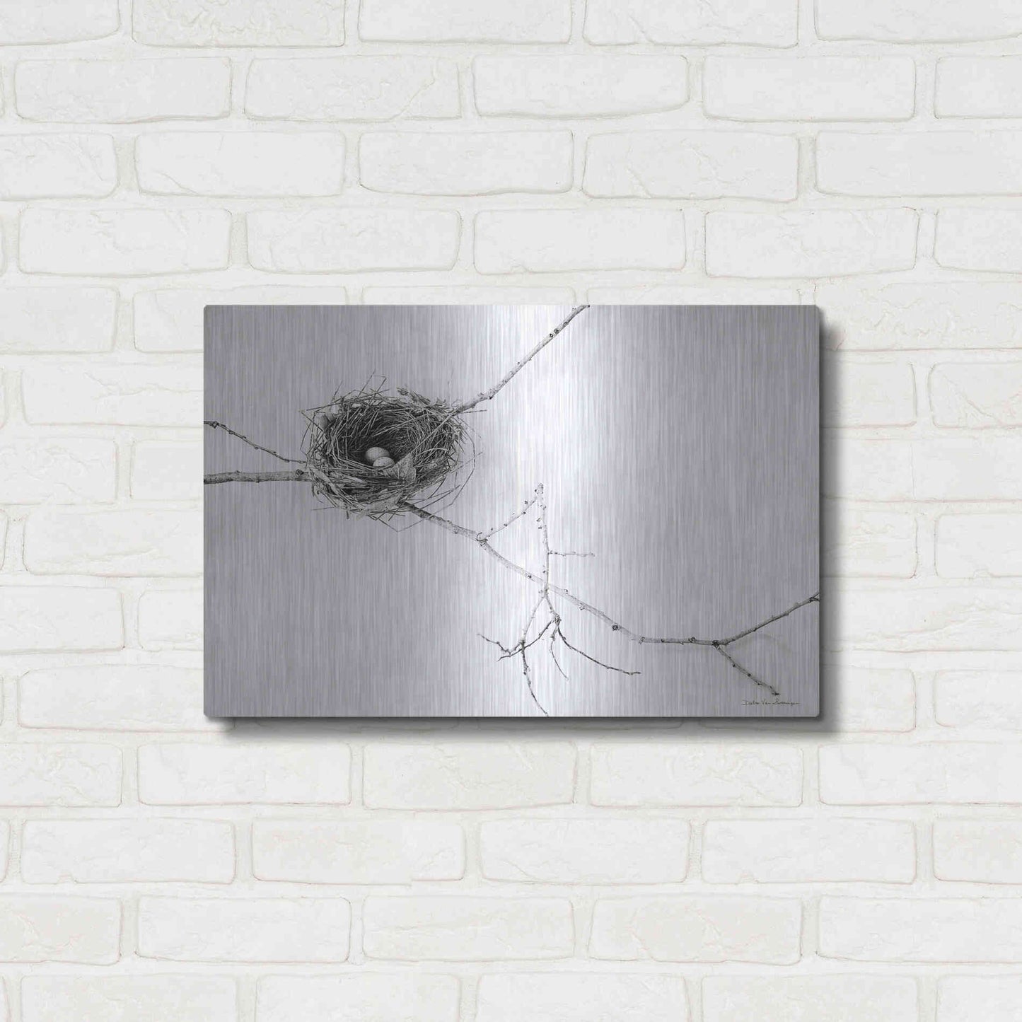 Luxe Metal Art 'Nest and Branch I' by Debra Van Swearingen, Metal Wall Art,24x16