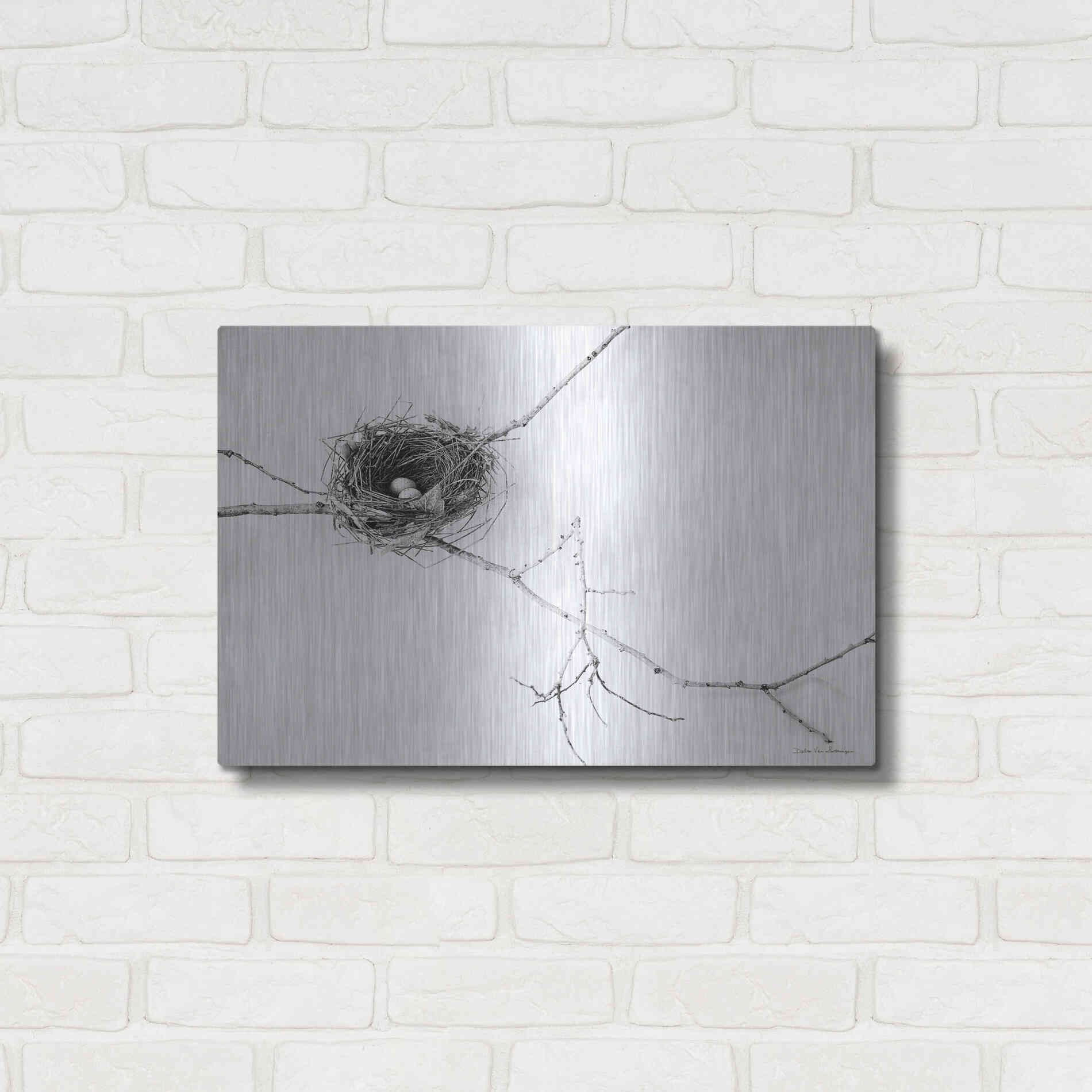Luxe Metal Art 'Nest and Branch I' by Debra Van Swearingen, Metal Wall Art,24x16