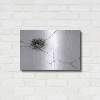 Luxe Metal Art 'Nest and Branch I' by Debra Van Swearingen, Metal Wall Art,24x16