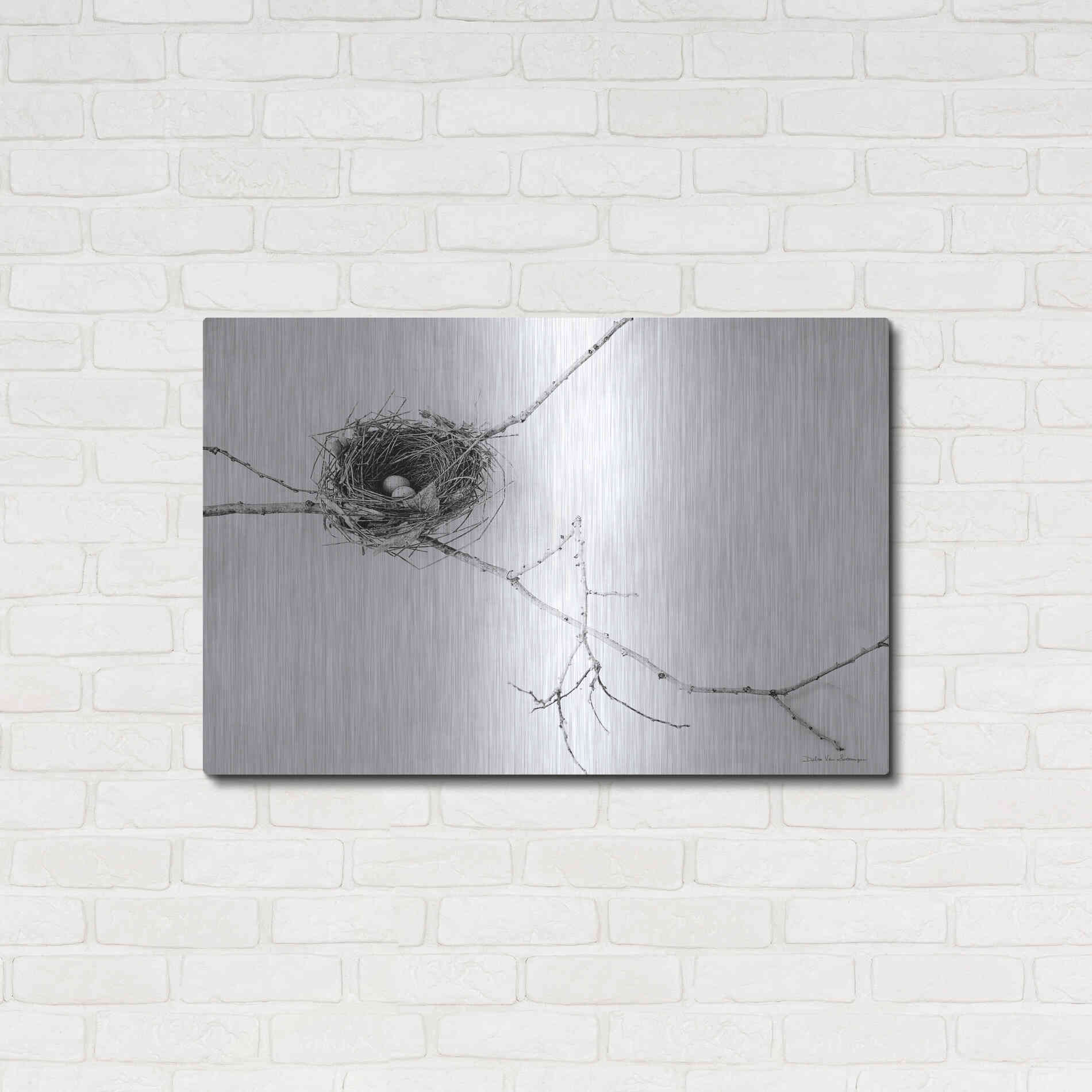 Luxe Metal Art 'Nest and Branch I' by Debra Van Swearingen, Metal Wall Art,36x24