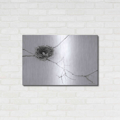 Luxe Metal Art 'Nest and Branch I' by Debra Van Swearingen, Metal Wall Art,36x24