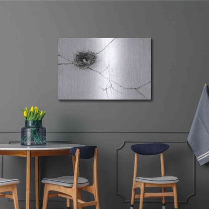 Luxe Metal Art 'Nest and Branch I' by Debra Van Swearingen, Metal Wall Art,36x24