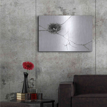 Luxe Metal Art 'Nest and Branch I' by Debra Van Swearingen, Metal Wall Art,36x24