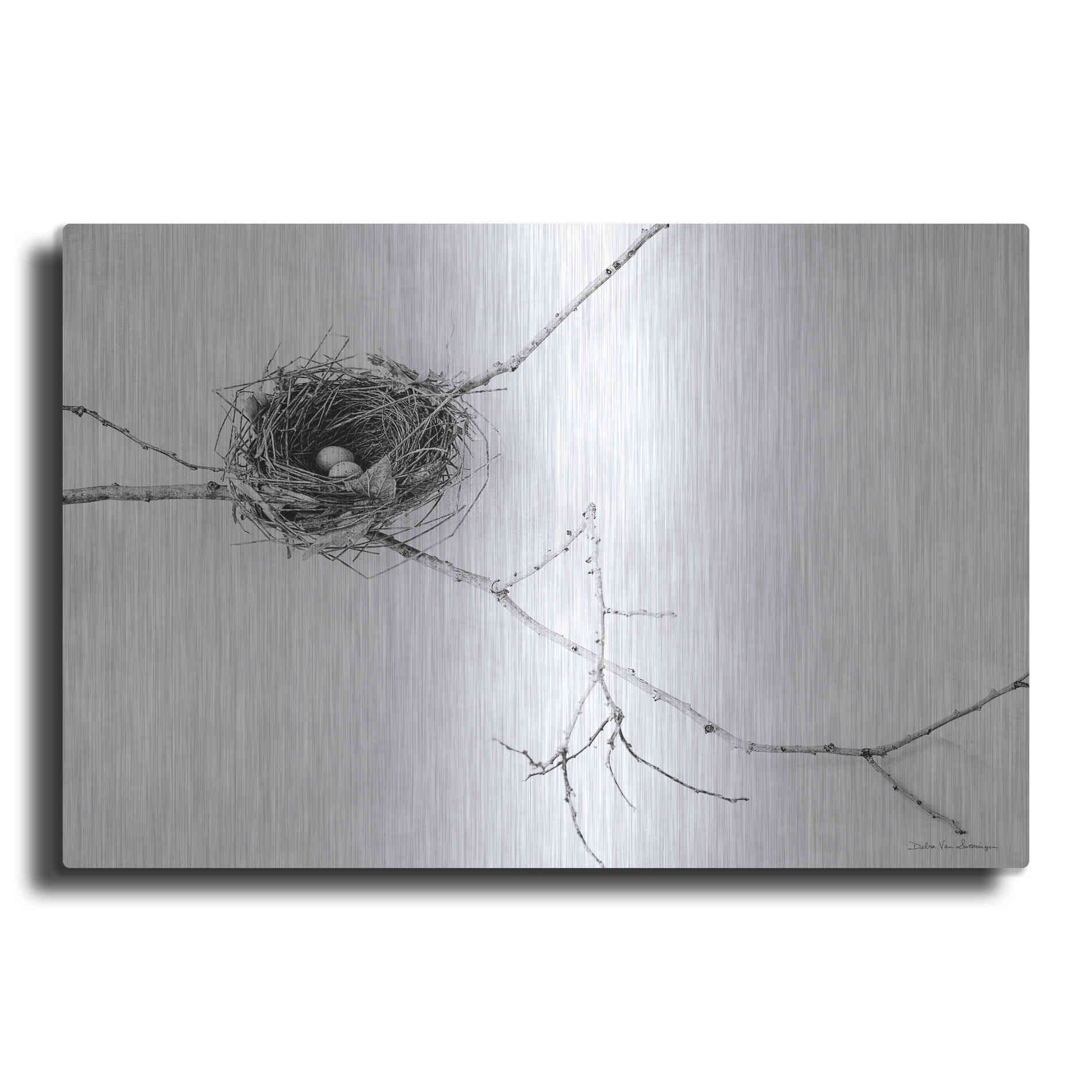 Luxe Metal Art 'Nest and Branch I' by Debra Van Swearingen, Metal Wall Art