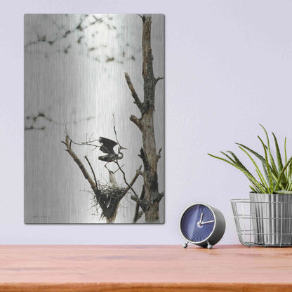 Luxe Metal Art 'Poised' by Debra Van Swearingen, Metal Wall Art,12x16
