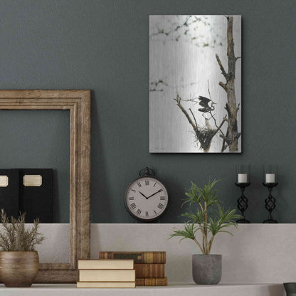 Luxe Metal Art 'Poised' by Debra Van Swearingen, Metal Wall Art,12x16